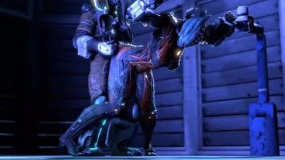 Warframe sex comp - pornapp.online